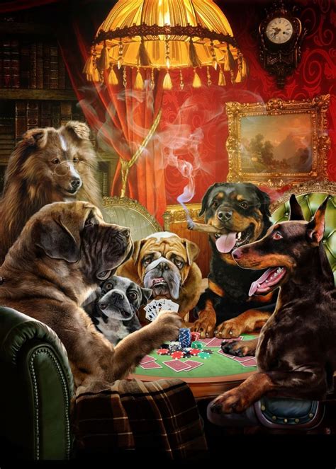 Big dog poker racine